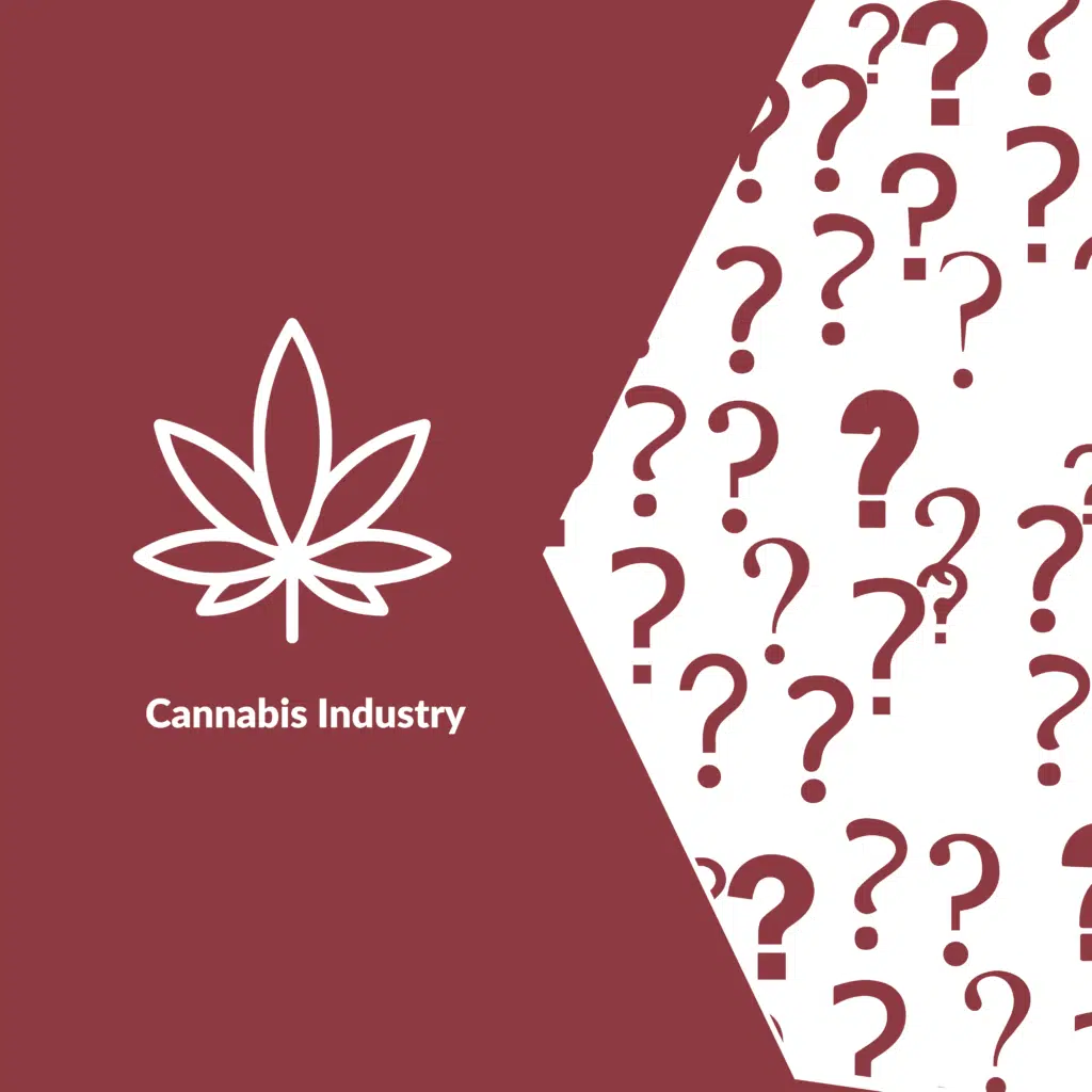 Cannabis