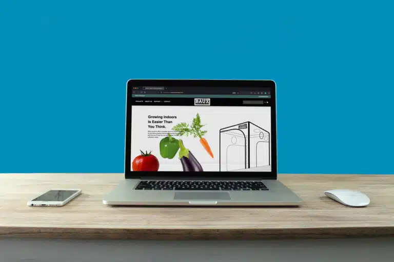 Cordeeple-Portfolio-BaüxINdustries-Wesbite-Example-1