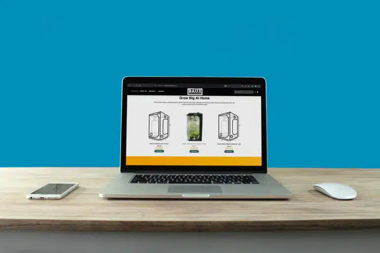 Cordeeple-Portfolio-BaüxINdustries-Wesbite-Example-2