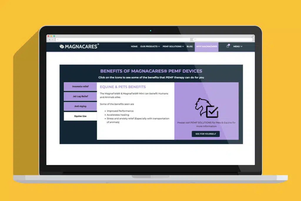 Cordeeple-Portfolio--Magnacares-Pain-point-section-1