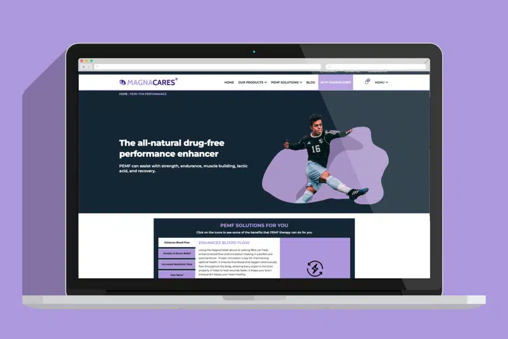 Cordeeple-Portfolio--Magnacares-Pain-point-section-3