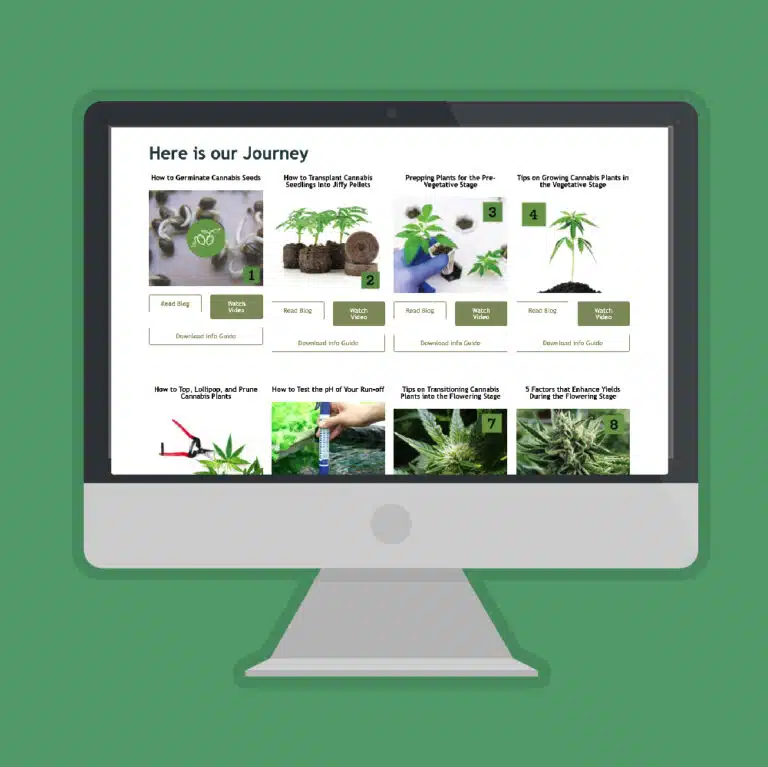Cordeeple_PortfolioFrontCover-GrowYourFour-Wesbite-Redsign-web pages_Web 1