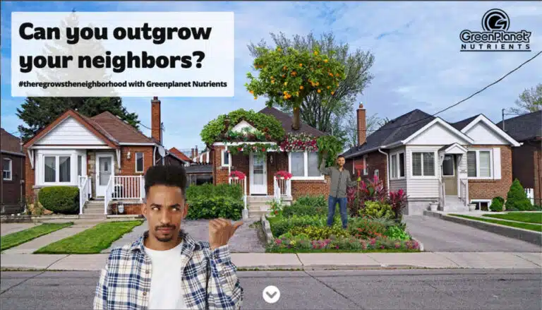 Cordeeple_theregrows-Campaign-1-1024x585