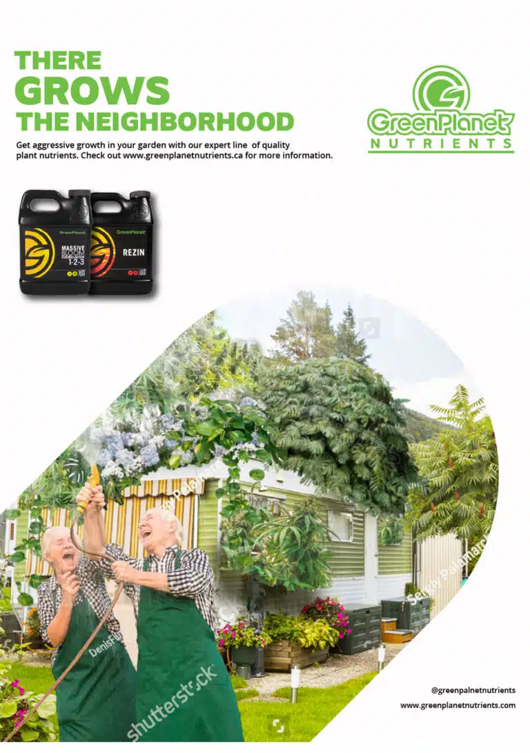 GPN-Advert-1