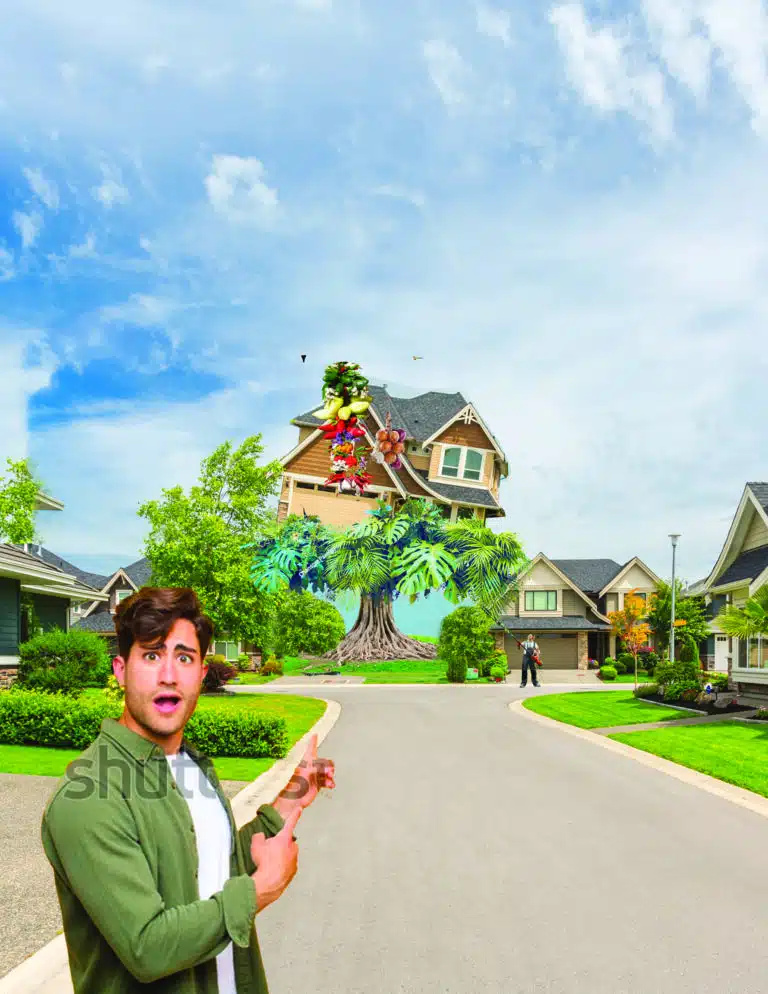 There Grows The Neighbourhood_Rough Mock Up 1 copy